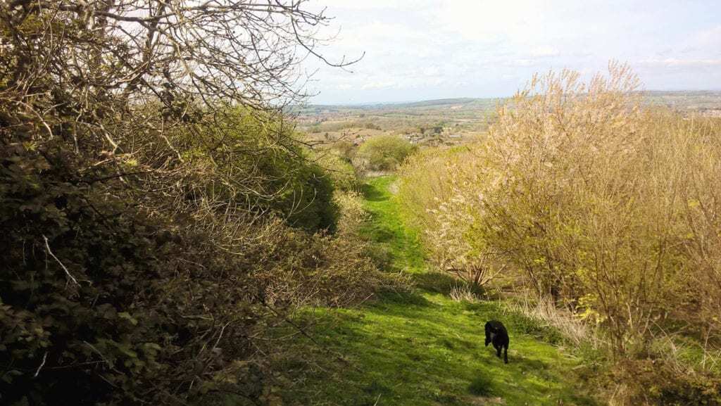 Les' dog walk path around Shanklin