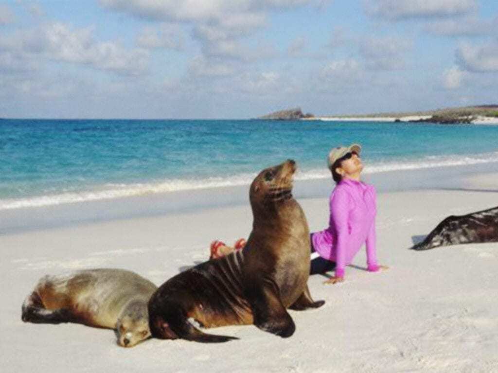 Seal Beach Yoga