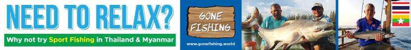 Gone Fishing World Banner