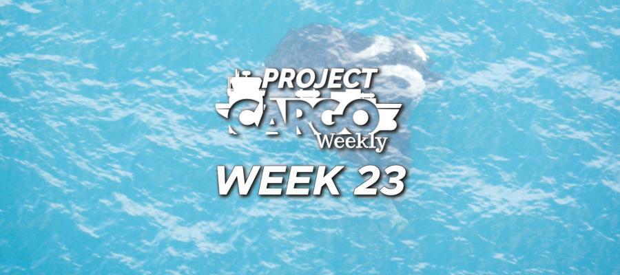 PCW-Week-23-2020