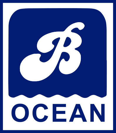 Bright Ocean Logo